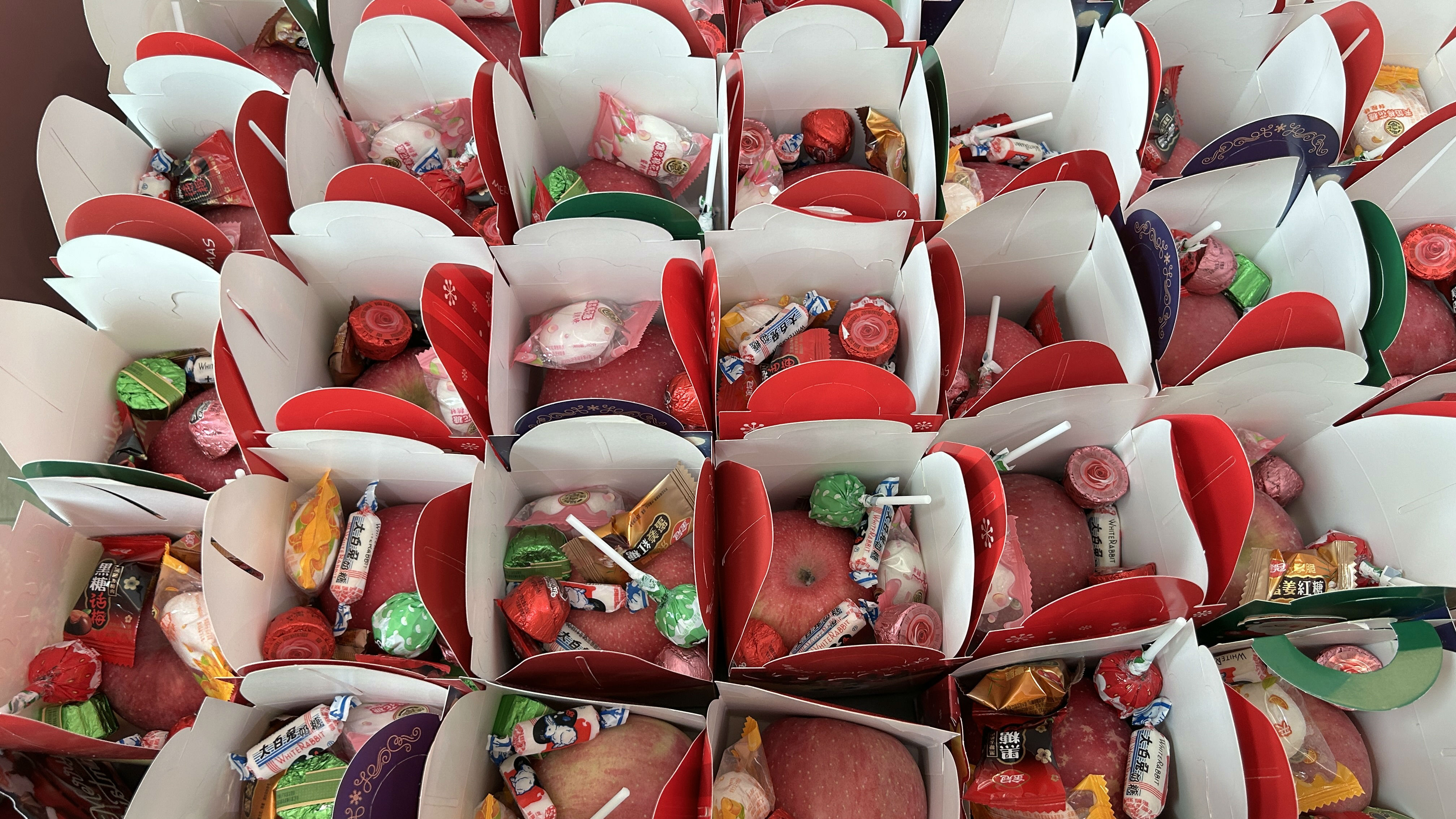 2024_12_24_10_43_IMG_4433(1).jpg 2024_12_24_10_43_IMG_4433(1).jpg